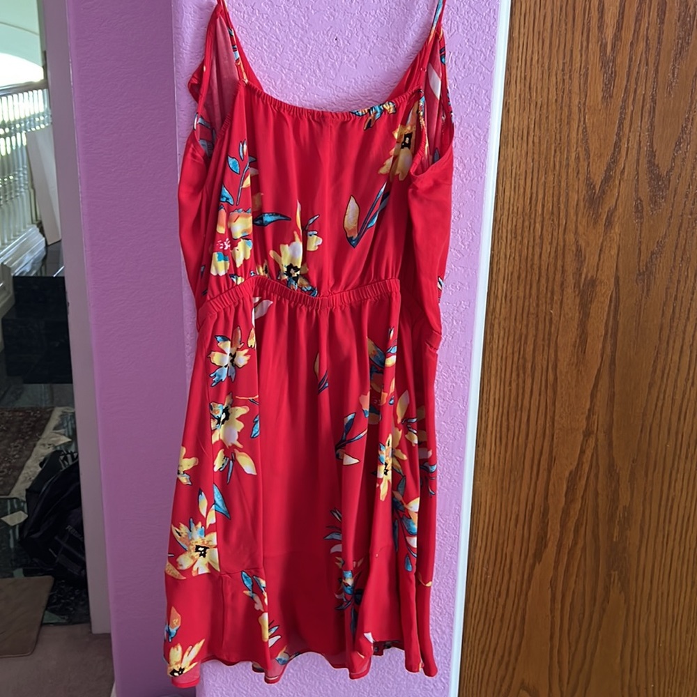 Express Dress - Picture 3 of 3
